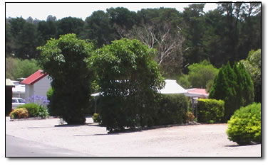 Wantirna Park - Accommodation in Brisbane 5