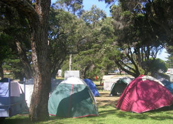 QueenscliffeTourist Park - Accommodation in Brisbane 2
