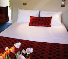 Parade Inn - Accommodation in Brisbane 2