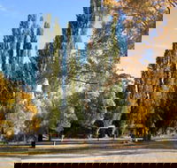 Omeo Caravan Park - Accommodation in Brisbane