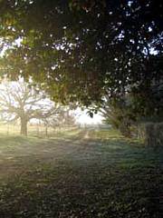 Corinella Country House - Accommodation in Brisbane 4