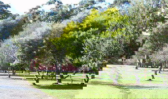Otways Tourist Park - Accommodation in Brisbane 0