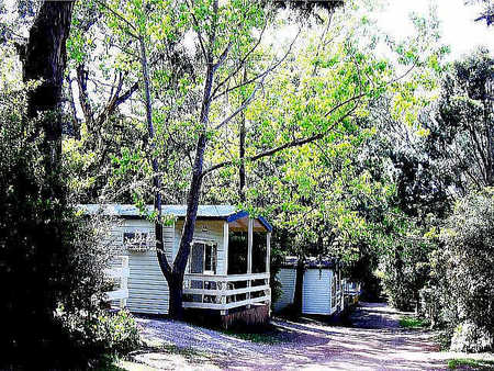 Flinders Caravan Park - Accommodation in Brisbane 0