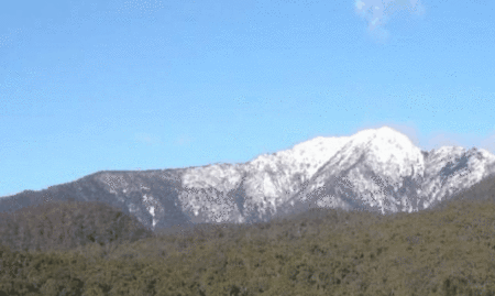 Buller House @ Alpine Ridge - Accommodation in Brisbane 3