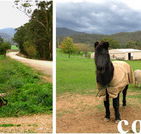 Emerald Park Holiday Farm - Accommodation in Brisbane