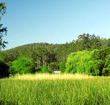 Waterholes Guest House - Accommodation in Brisbane