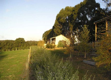 Birchwood Retreat Country Cottages - Accommodation in Brisbane 3