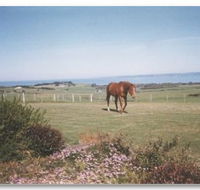 First Class Bed and Breakfast