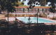 Glynlea Motel - thumb 3