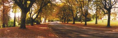 La Trobe At Beechworth - Accommodation in Brisbane 0