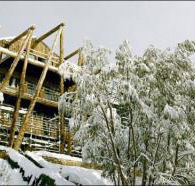 Silverski - Accommodation in Brisbane