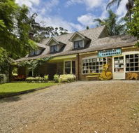 Curtis Falls Mountain Retreat - Accommodation in Brisbane