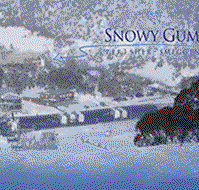 Snowy Gums Chalet - Accommodation in Brisbane