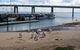 BIG4 Phillip Island Caravan Park - thumb 5