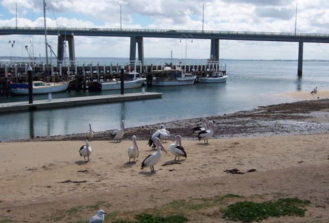 BIG4 Phillip Island Caravan Park - Accommodation in Brisbane 5
