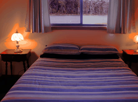 Lake Yalleena Cabins - Accommodation in Brisbane