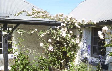 Orford Sanda House B&B - Accommodation in Brisbane 1