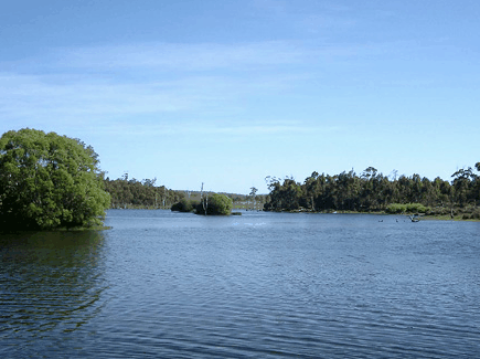 Currawong Lakes - Accommodation in Brisbane