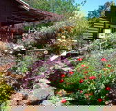 Chestnut Brook Cottage - Accommodation in Brisbane