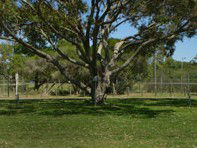 Hawks Nest Holiday Park - Accommodation in Brisbane 3