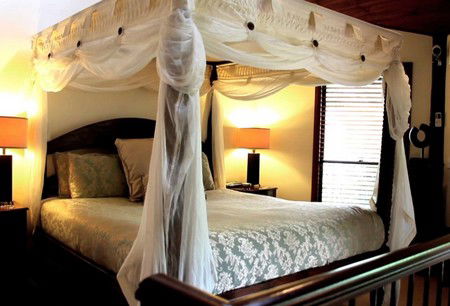 Escarpment - Accommodation in Brisbane 2
