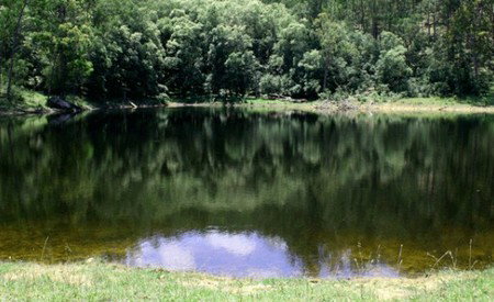 Mystwood Retreats - Accommodation in Brisbane 5