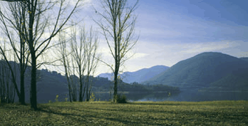 Ashton Townhouse Motel & Suites Tumut - Accommodation in Brisbane 3