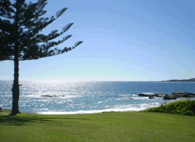Next Seabreeze Beach Hotel - Accommodation in Brisbane 1