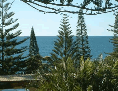 Next Seabreeze Beach Hotel - Accommodation in Brisbane 2