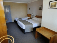 Metro Inn Ryde - thumb 0