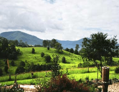 Nimbin Rox YHA - Accommodation in Brisbane 1