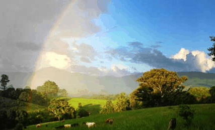 Nimbin Rox YHA - Accommodation in Brisbane 3