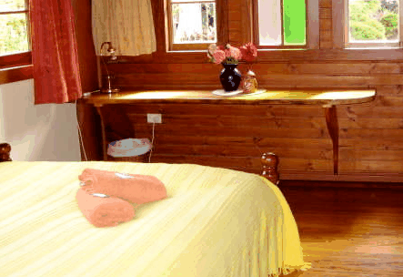 Nimbin Holiday Accommodation & Guest House - thumb 5