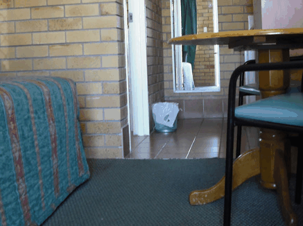 Dragon  Phoenix Motel - Accommodation in Brisbane