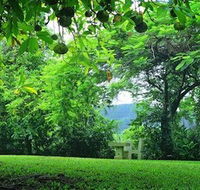 Misty Mountain Retreat - Accommodation in Brisbane