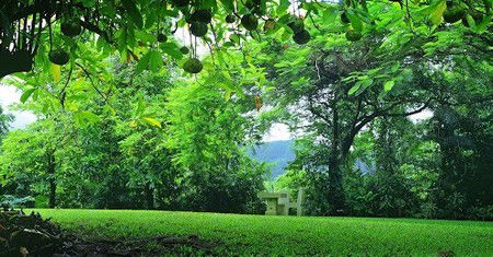Misty Mountain Retreat - Accommodation in Brisbane 0