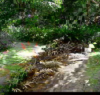 Coco's Country Cottage - Accommodation in Brisbane