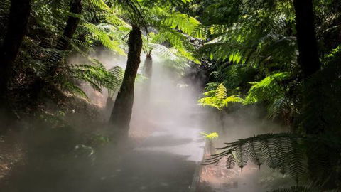 Australian National Botanic Gardens - Accommodation in Brisbane 4