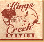 Kings Creek Station - Accommodation in Brisbane