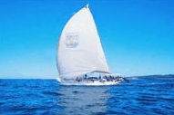 Manly Harbour Village - Accommodation in Brisbane