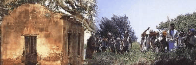 St Helena Island - Accommodation in Brisbane 1