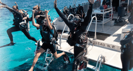 Snorkel Safari Brisbane - Accommodation in Brisbane