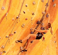 Rocksports Indoor Climbing - Accommodation in Brisbane