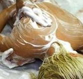 Exotique Massage - Accommodation in Brisbane