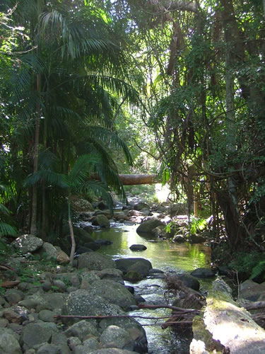Thunderbird Park - Accommodation in Brisbane 2