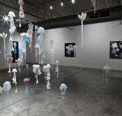 Nellie Castan Gallery - Accommodation in Brisbane
