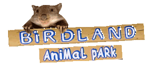 Birdland Animal Park - Accommodation in Brisbane