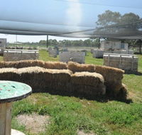 We Are Paintball - Accommodation in Brisbane