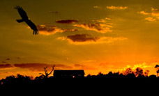 Werribee Open Range Zoo - Accommodation in Brisbane 1