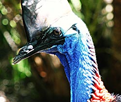 Narangba QLD Accommodation in Brisbane